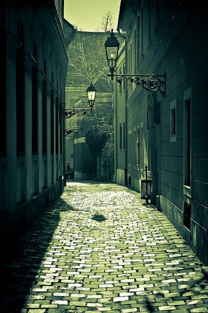 Some things never change (this street in the Buda castle in Budapest, Hungary, dates back hundreds of years, but the photo was taken in 2011!)